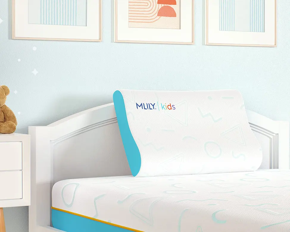 PILLOWS 1